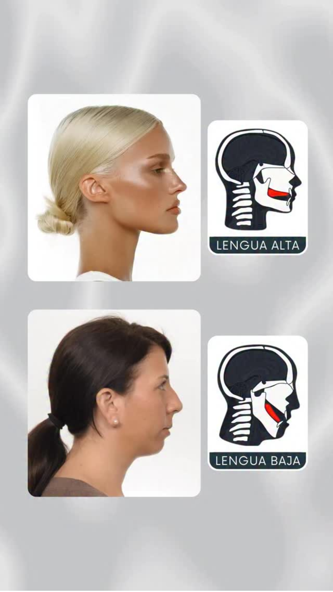 Conexión lengua y belleza